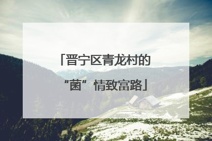 晋宁区青龙村的“菌”情致富路